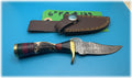 6" bone handle and brass handle knife -$24_ (#129)